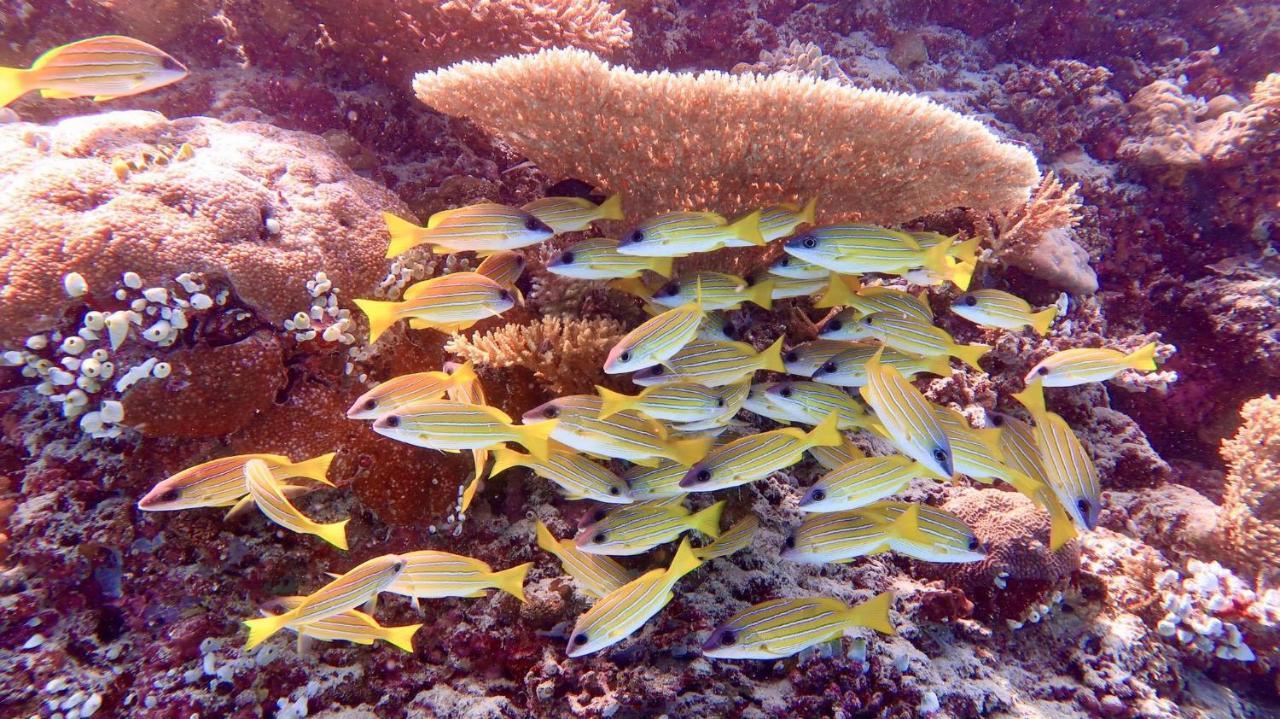 Wow Inn Keyodhoo Keyodhoo  Extérieur photo